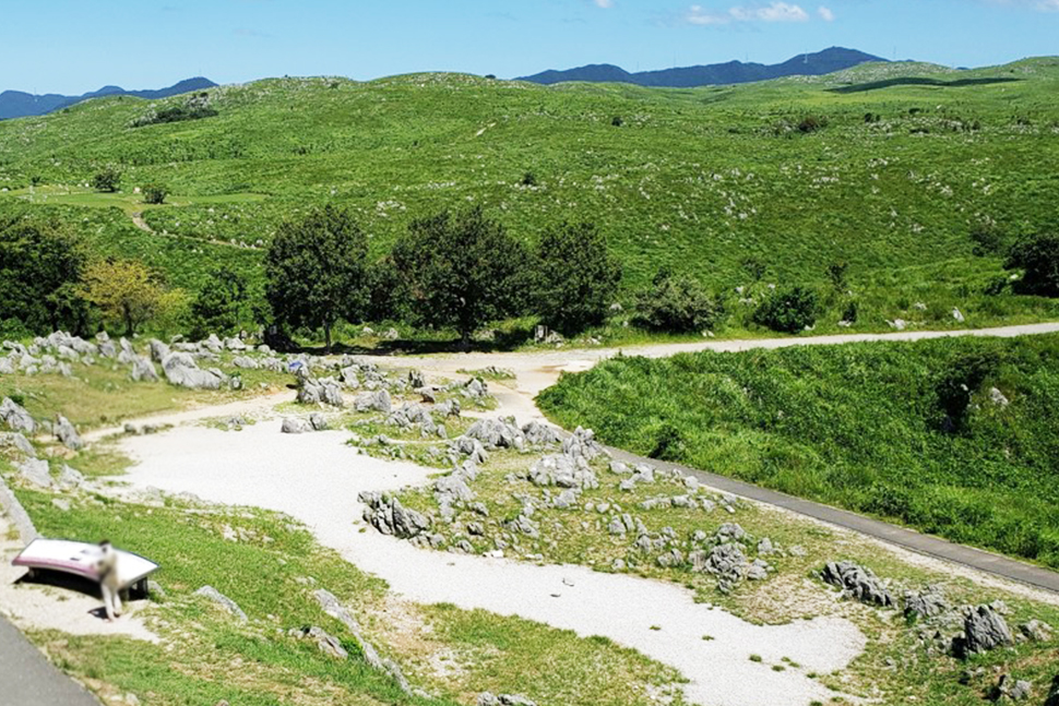 鹿児島　地方　九州　ソフトウェア開発　システム開発