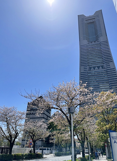 社長からのメッセージの画像