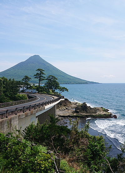 鹿児島　地方　ソフトウェア開発　システム開発　リモート開発　ニアショア開発　九州