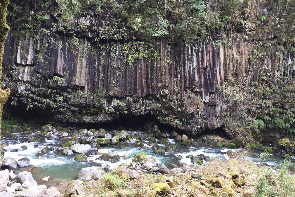 鹿児島　地方　九州　リモート開発　ニアショア開発