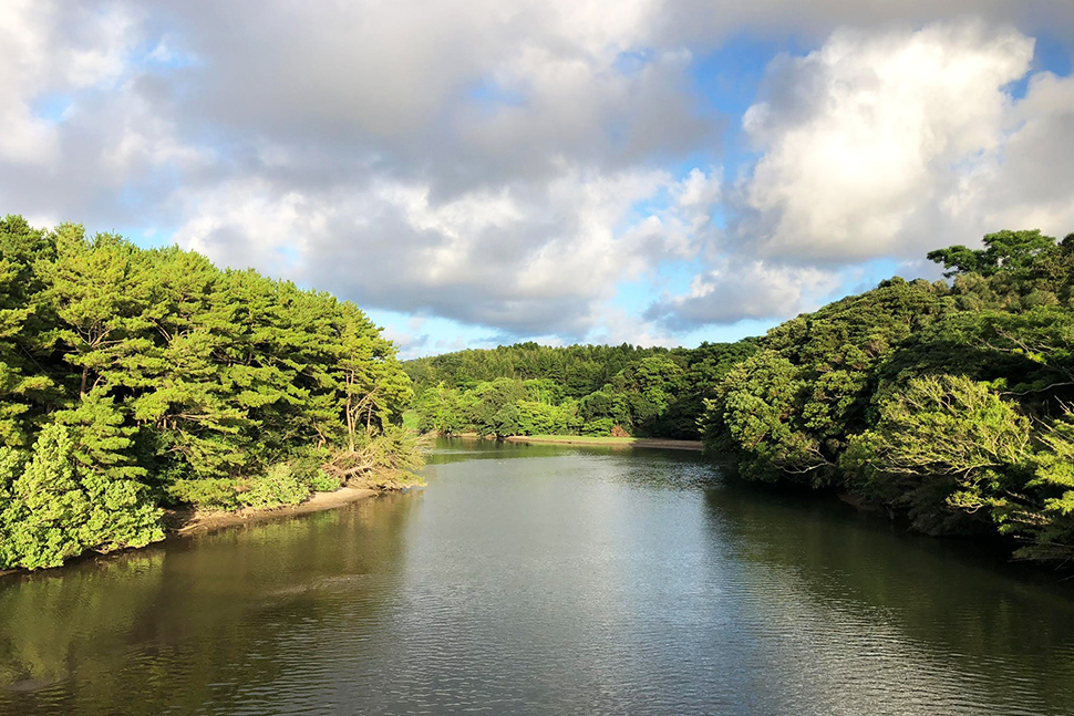鹿児島　地方　九州　ソフトウェア開発　システム開発