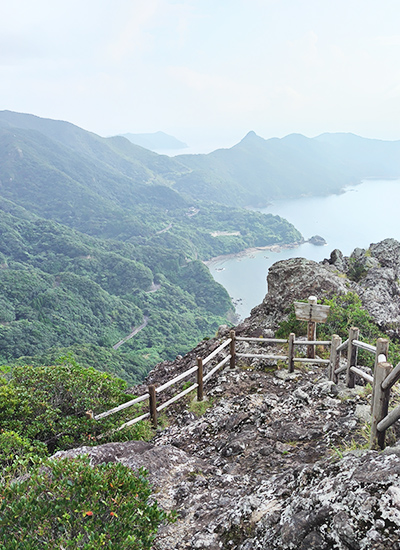 鹿児島　地方　ソフトウェア開発　システム開発　リモート開発　ニアショア開発　九州