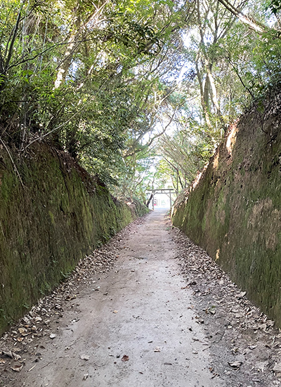 鹿児島　地方　ソフトウェア開発　システム開発　リモート開発　ニアショア開発　九州