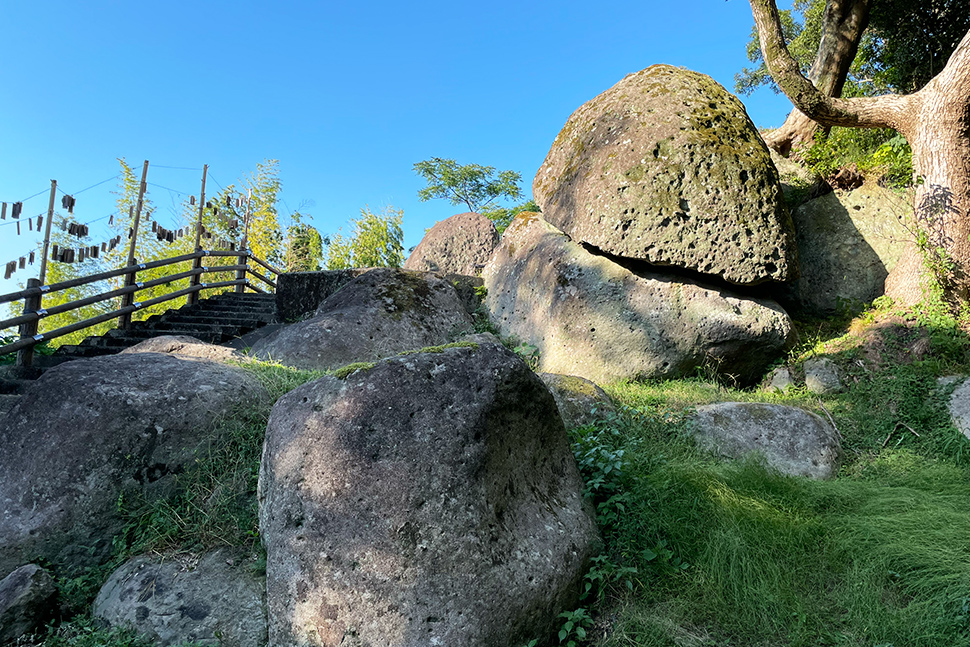 鹿児島　地方　九州　リモート開発　ニアショア開発
