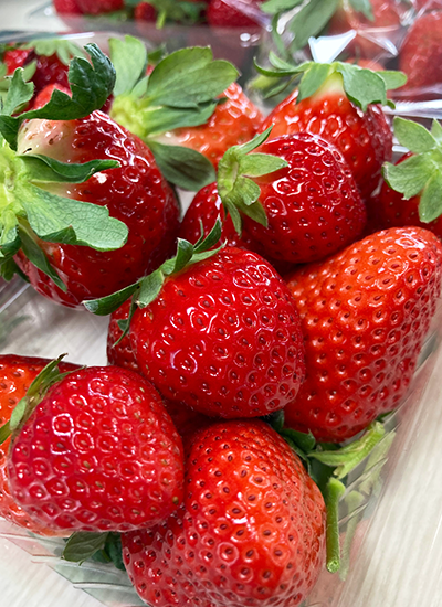 鹿児島　地方　ソフトウェア開発　システム開発　リモート開発　ニアショア開発　九州