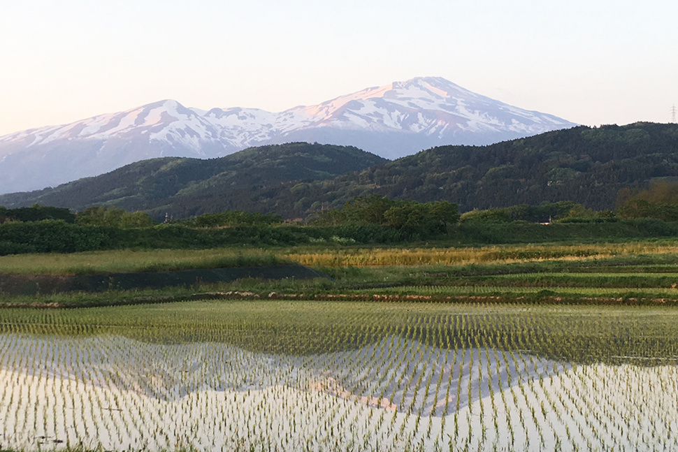 鹿児島　地方　九州　ソフトウェア開発　システム開発