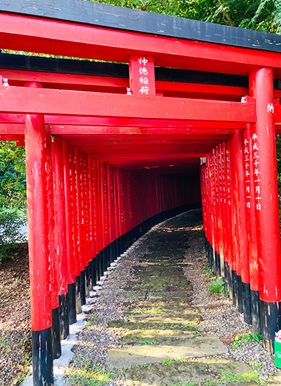 鹿児島　地方　ソフトウェア開発　システム開発　リモート開発　ニアショア開発　九州
