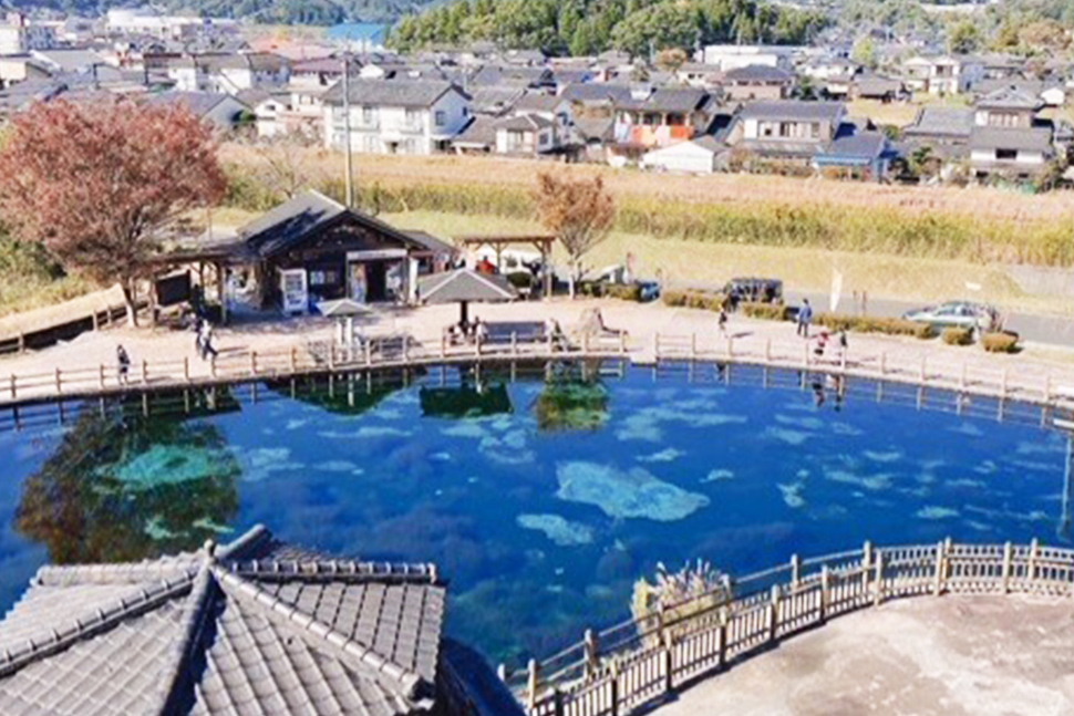 鹿児島　ソフトウェア開発　システム開発　リモート開発　ニアショア開発