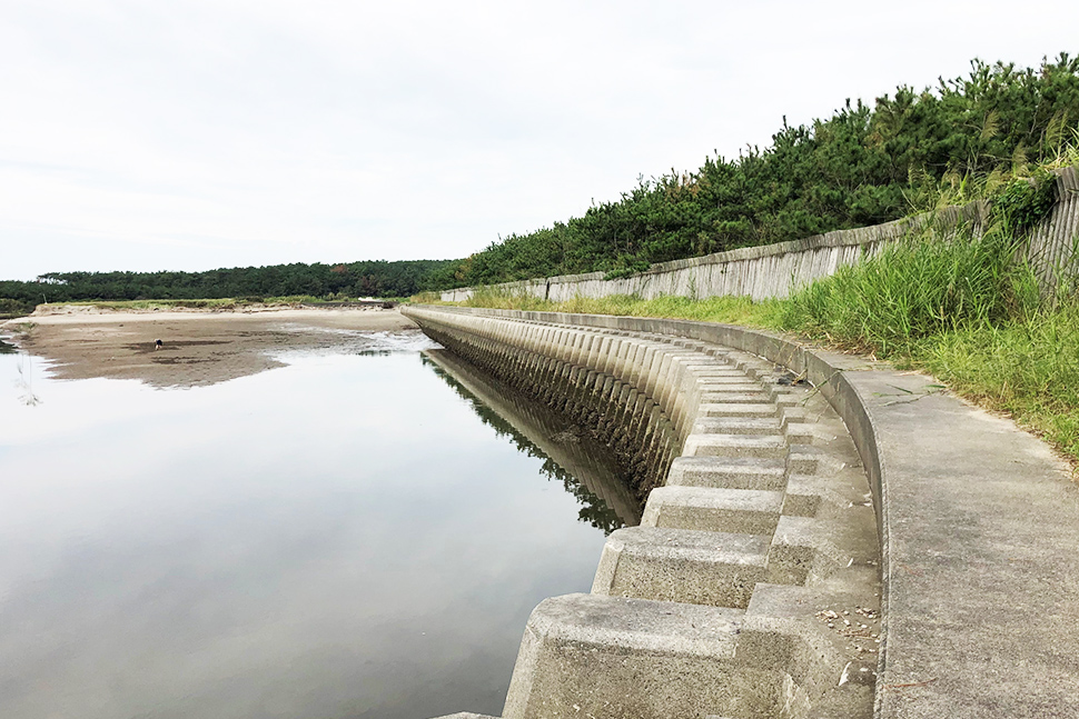 鹿児島　ソフトウェア開発　システム開発　リモート開発　ニアショア開発