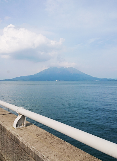 鹿児島　ソフトウェア開発　システム開発　リモート開発　ニアショア開発　九州