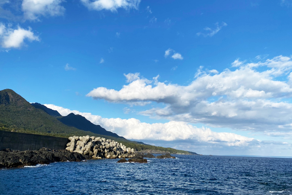 鹿児島　ソフトウェア開発　システム開発　リモート開発　ニアショア開発