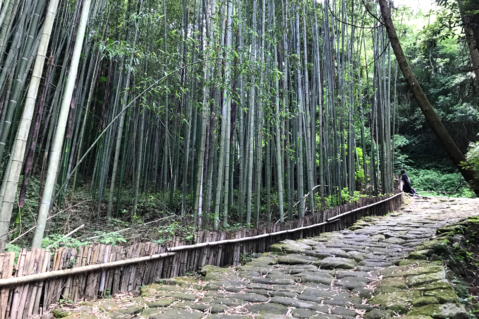 鹿児島　ソフトウェア開発　システム開発　リモート開発　ニアショア開発