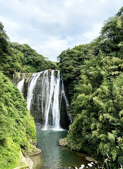 鹿児島　ソフトウェア開発　システム開発　リモート開発　ニアショア開発